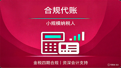 小规模合规代理记账/年