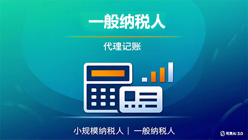一般纳税人代理记账/年