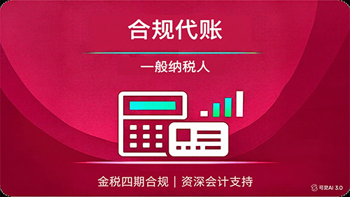 一般纳税人合规代账/年