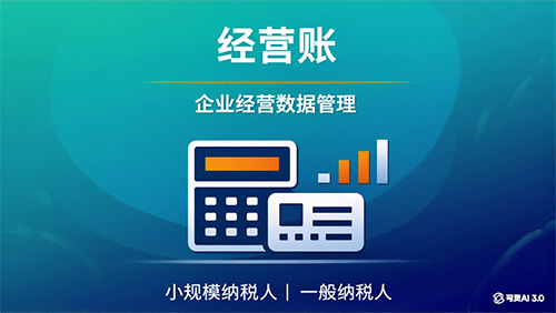 企业经营账管理服务/年